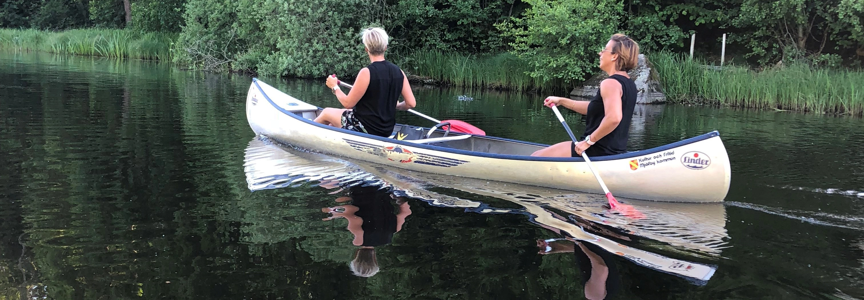 Brygga i vatten med grönska och träd i förgrunden och bakgrunden.